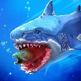 Fish Go.io